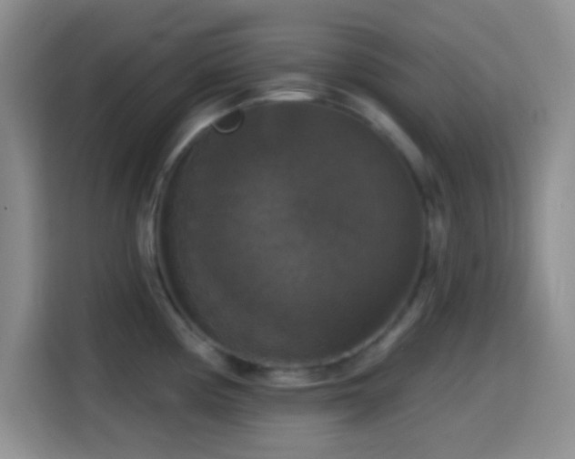 X0000114581194200910191517