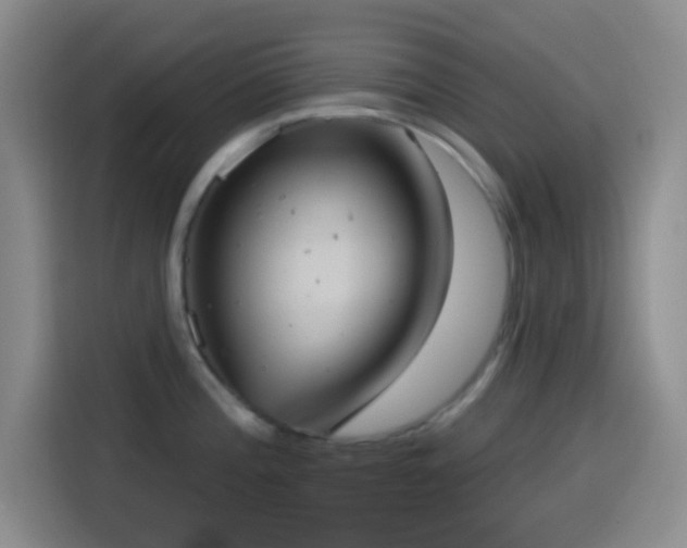 X0000114581196200910191517