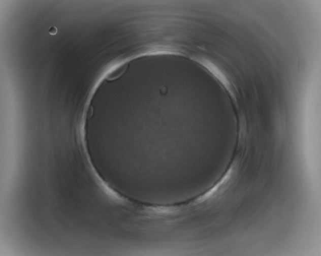 X0000114581197200910191517