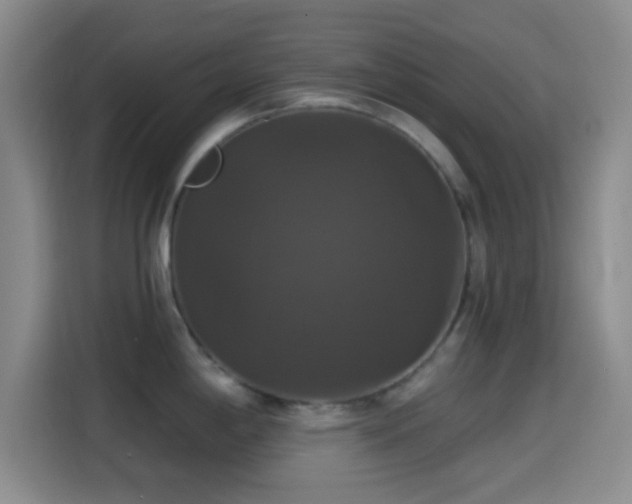 X0000114581198200910191517