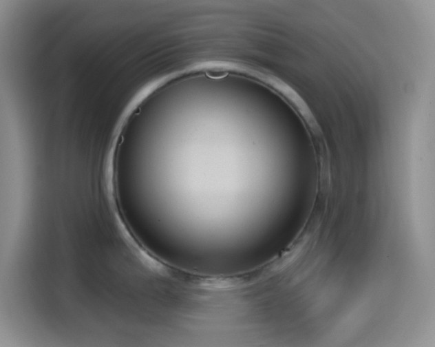 X0000114581199200910191517