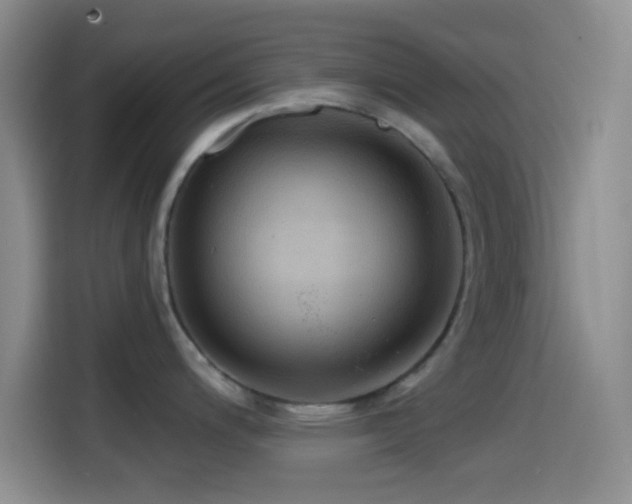 X0000114581200200910191517