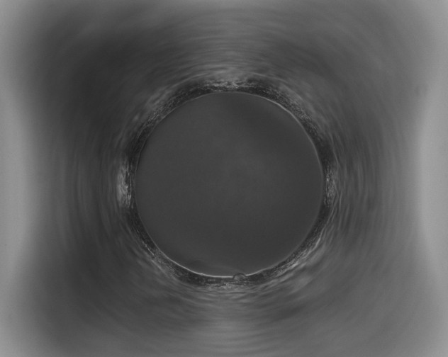 X0000114581202200910191516