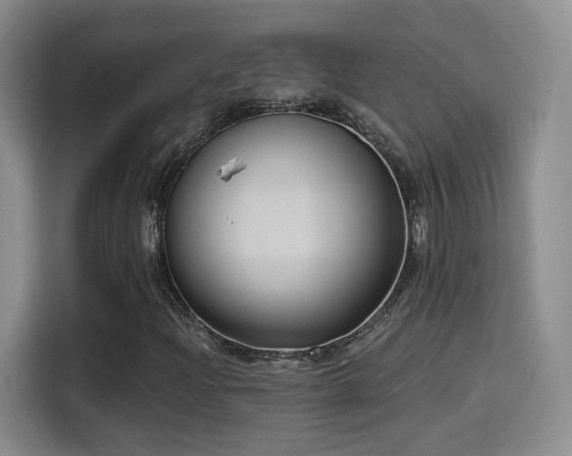 X0000114581204200910191516