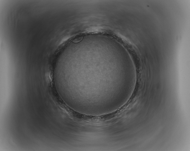 X0000114581206200910191516