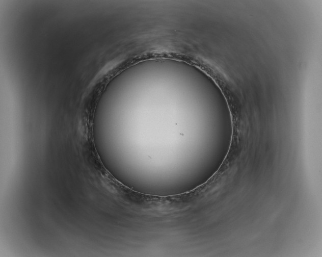 X0000114581207200910191516