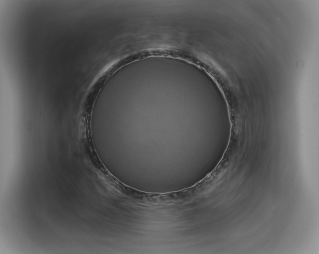 X0000114581208200910191516