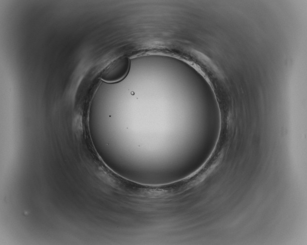 X0000114581209200910191516