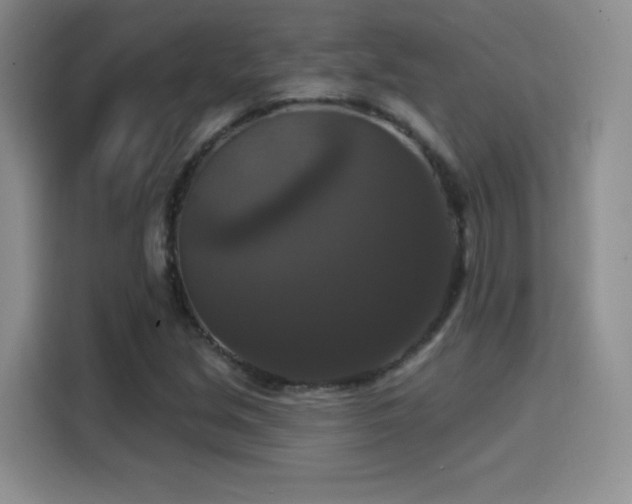 X0000114581213200910191516