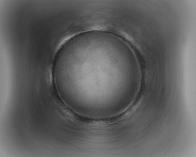 X0000114581214200910191516