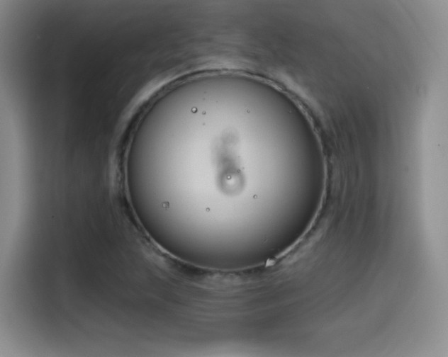 X0000114581215200910191516