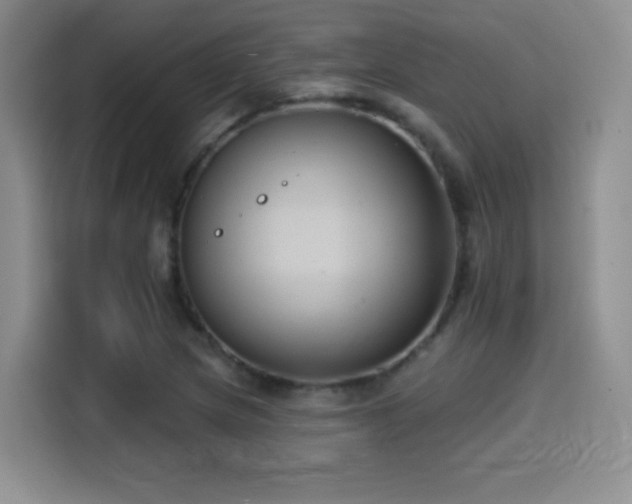 X0000114581217200910191516