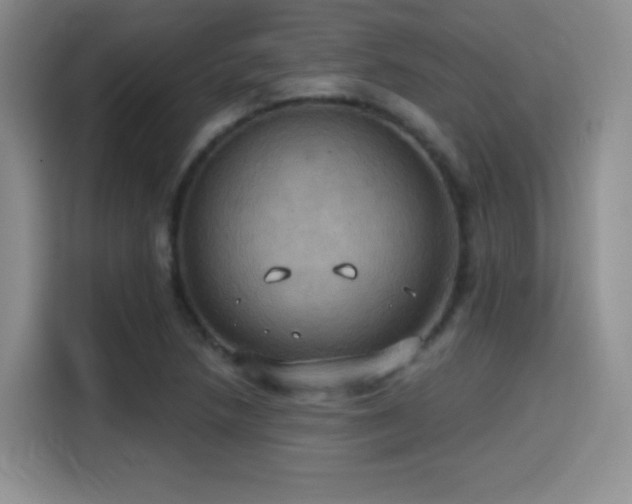 X0000114581218200910191516