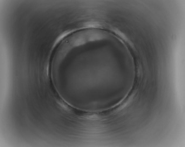 X0000114581222200910191516