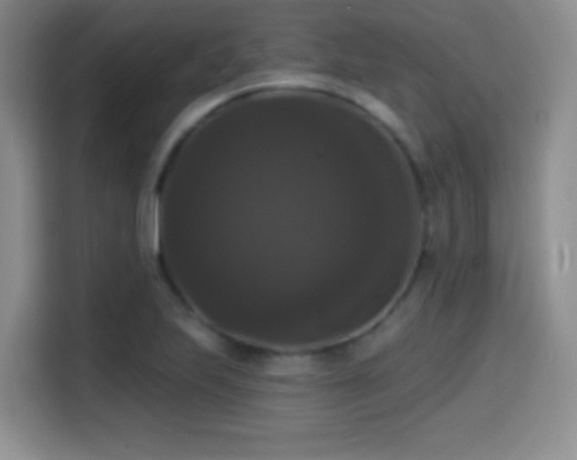 X0000114581223200910191516