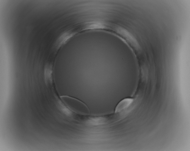 X0000114581225200910191516