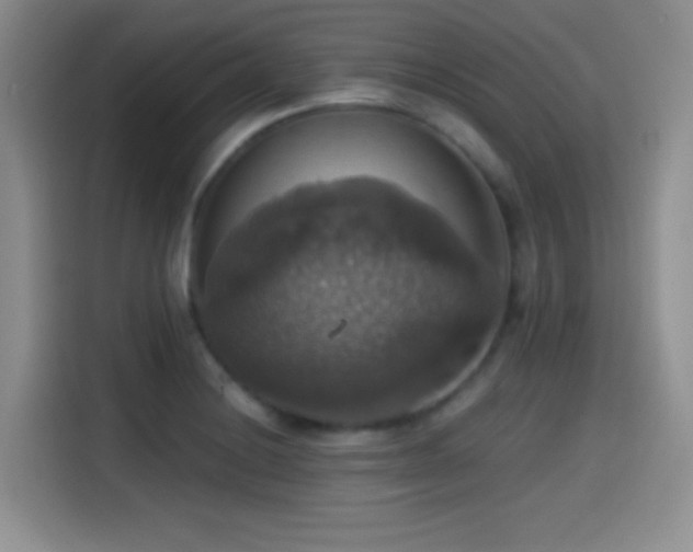 X0000114581228200910191516