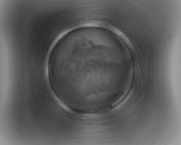 X0000114581232200910191517