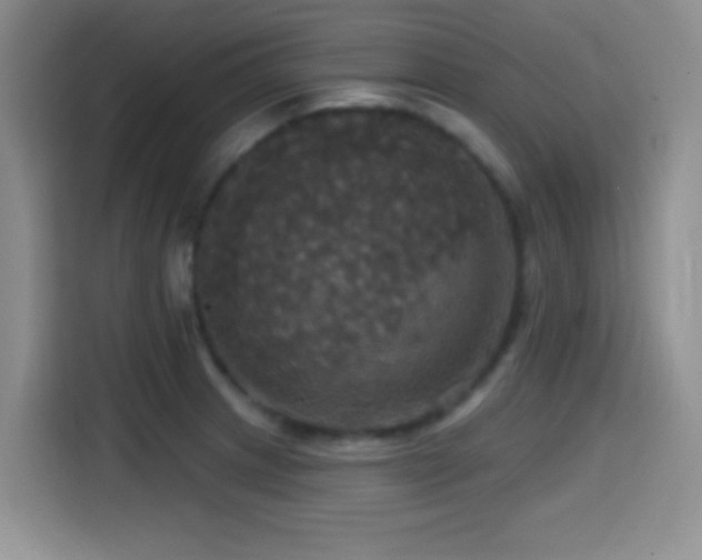 X0000114581233200910191517