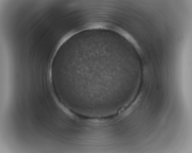 X0000114581234200910191517