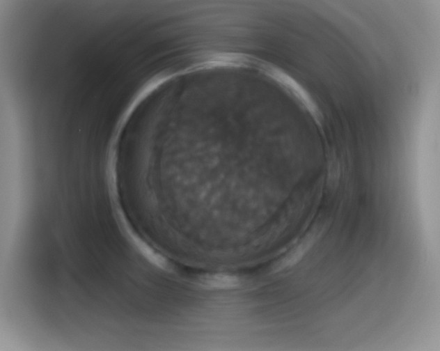 X0000114581235200910191517