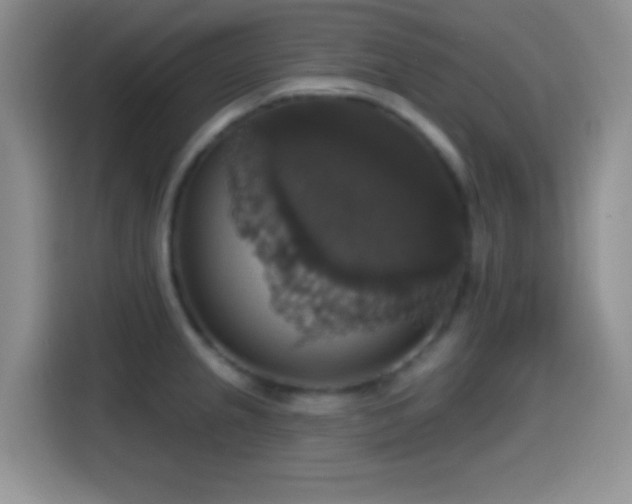 X0000114581237200910191517