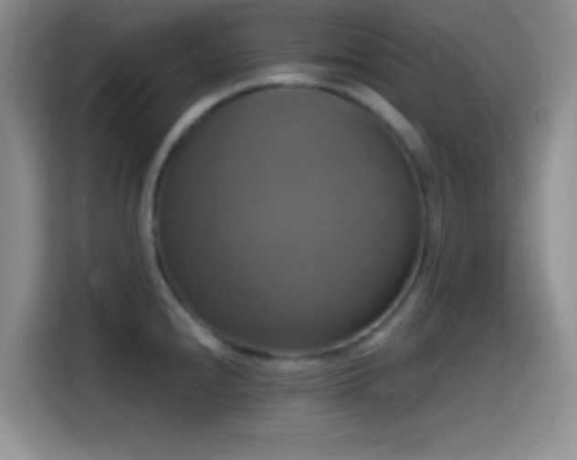 X0000114581240200910191517