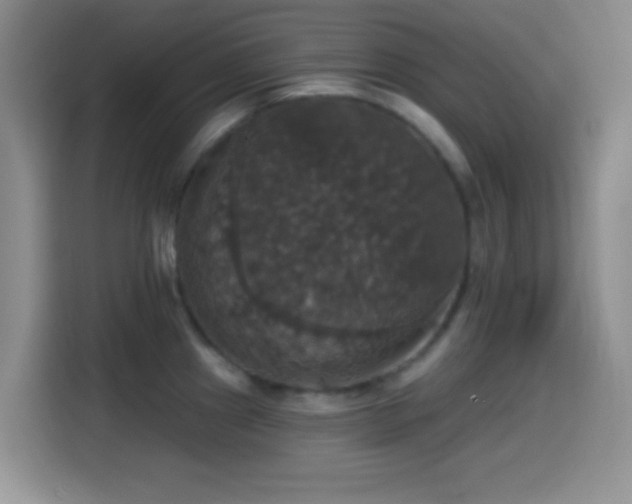 X0000114581241200910191517