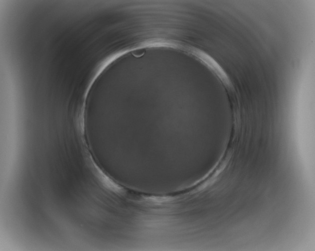 X0000114581244200910191517