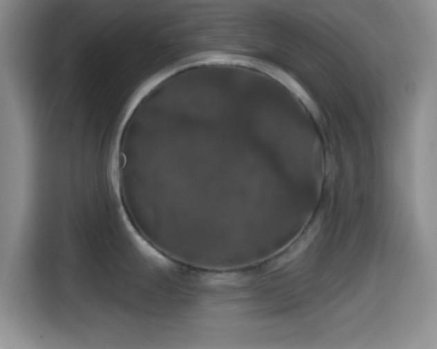 X0000114581247200910191517