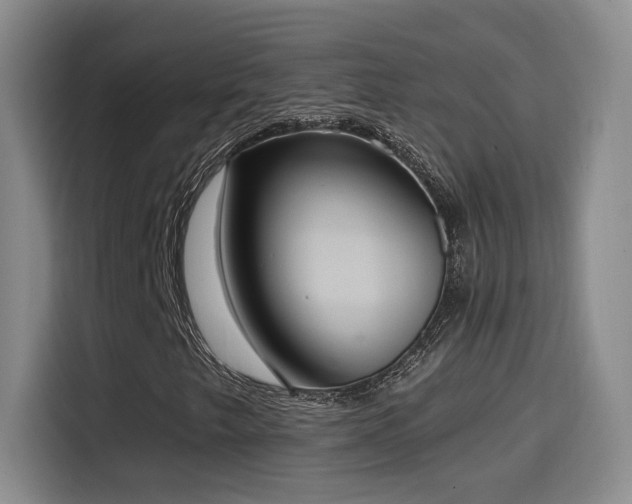 X0000114581249200910191516