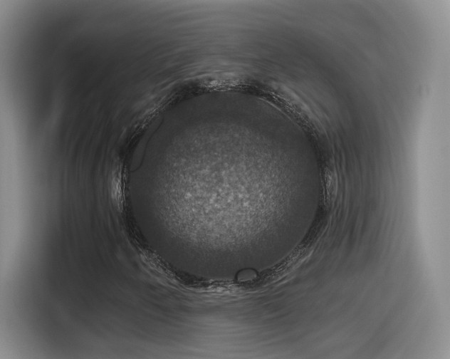 X0000114581250200910191516