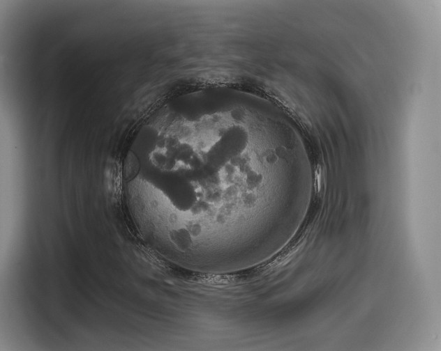 X0000114581251200910191516