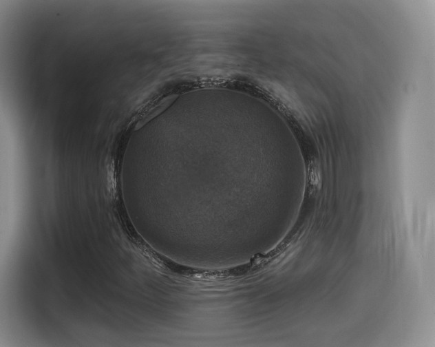 X0000114581252200910191516