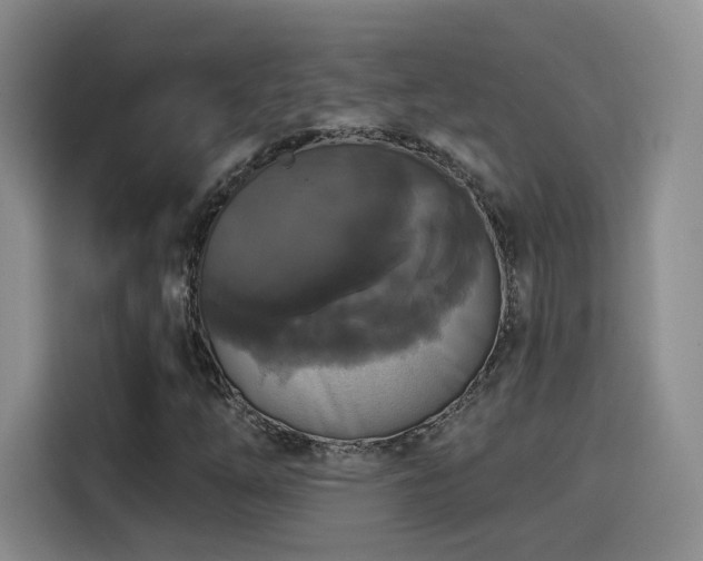 X0000114581254200910191516