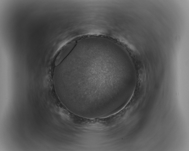 X0000114581256200910191516