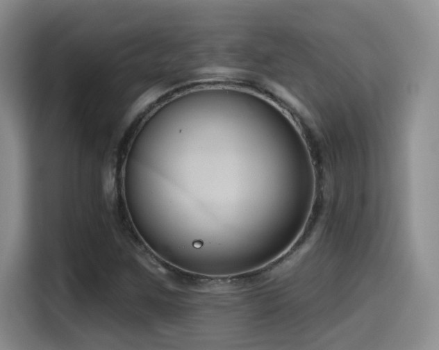 X0000114581259200910191516