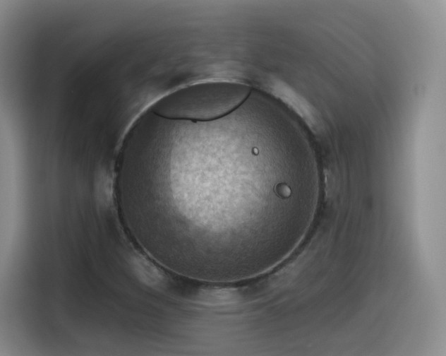 X0000114581260200910191516