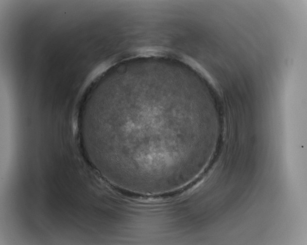 X0000114581261200910191516