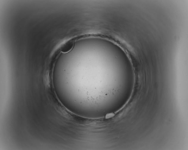 X0000114581262200910191516