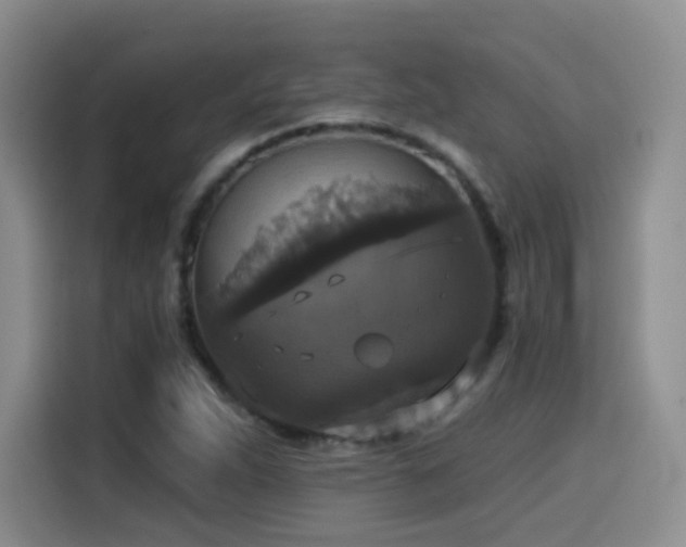 X0000114581263200910191516