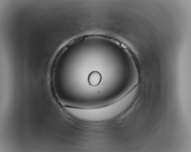 X0000114581264200910191516