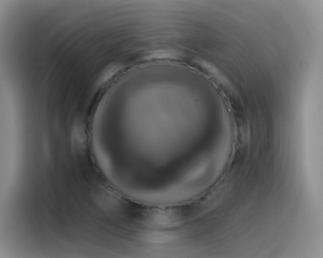 X0000114581266200910191516