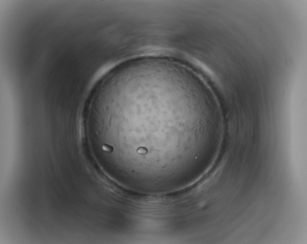 X0000114581267200910191516