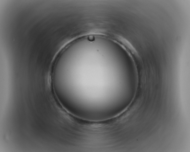 X0000114581268200910191516