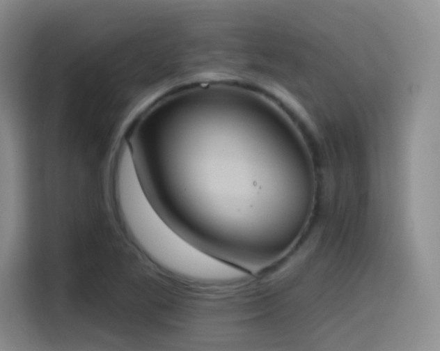 X0000114581269200910191516