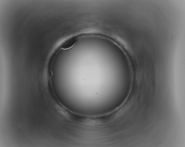 X0000114581270200910191516