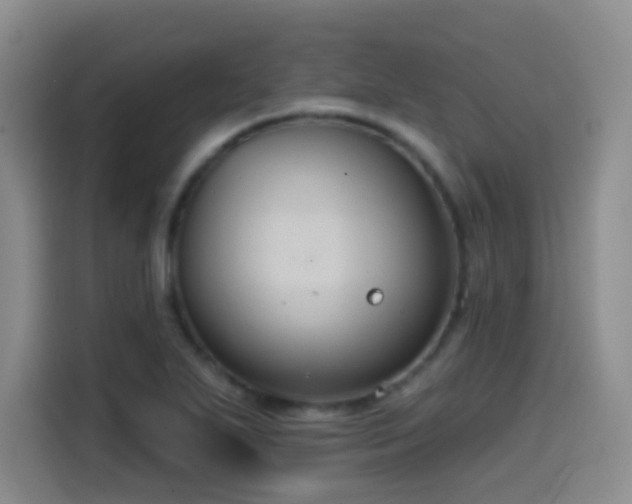 X0000114581271200910191516