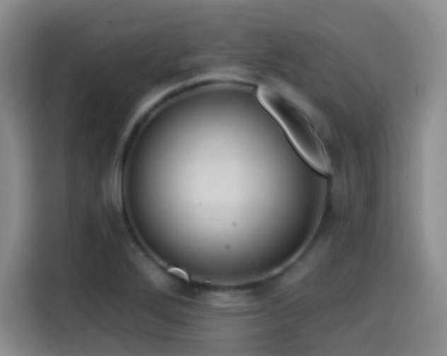 X0000114581272200910191516