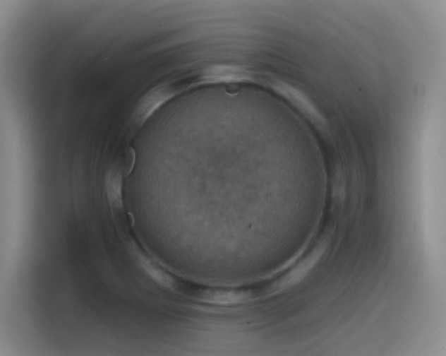 X0000114581273200910191516